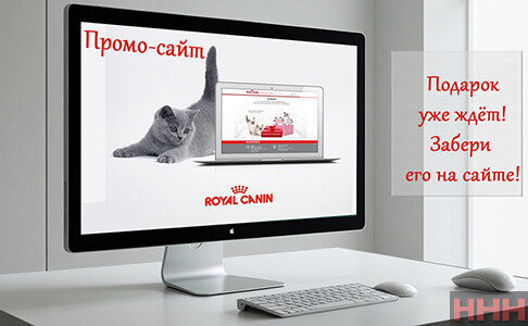 Промо-сайт — это мощный маркетинговый инструмент, который помогает привлечь внимание к продукту, услуге, событию или бренду